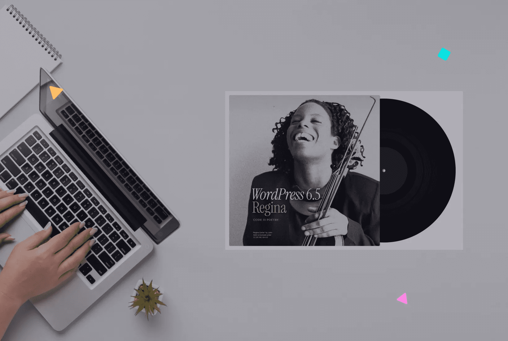 WordPress 6.5 "Regina"